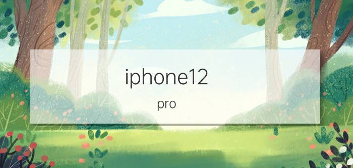 iphone12 pro max需要关机吗